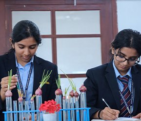 National Model CBSE campus aerial view