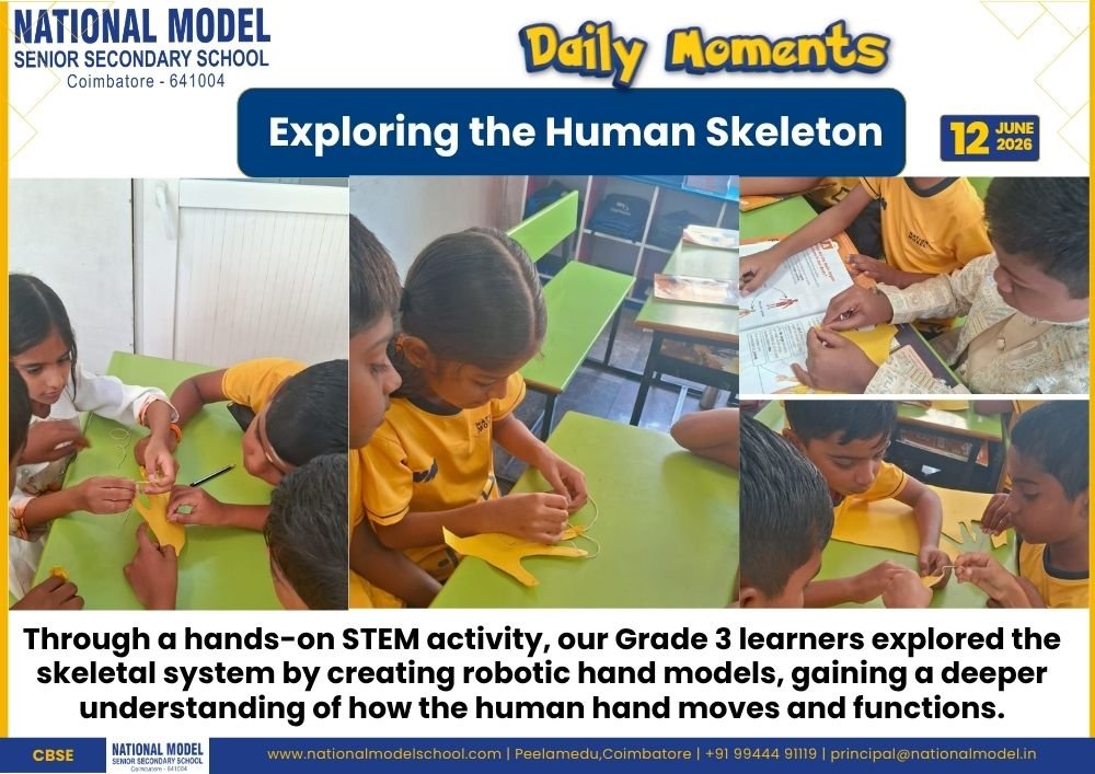 Exploring the Human Skeleton