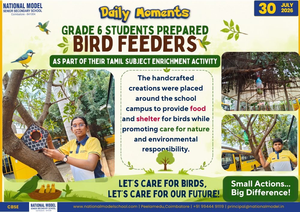Bird Feeder Activity